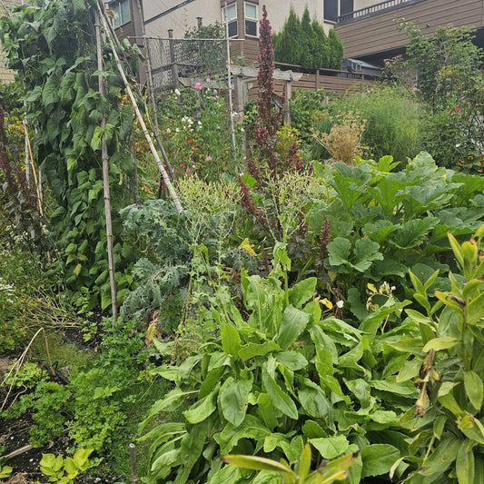 August 2025 Newsletter