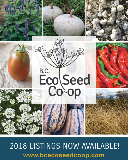 2018 Seed Listings are Now Online!