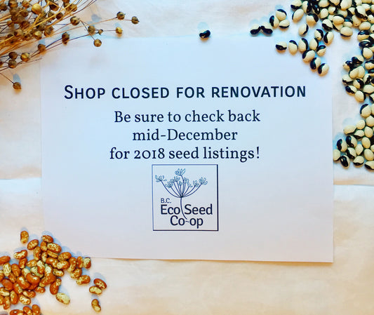 Shop Closed for Renovations November-December