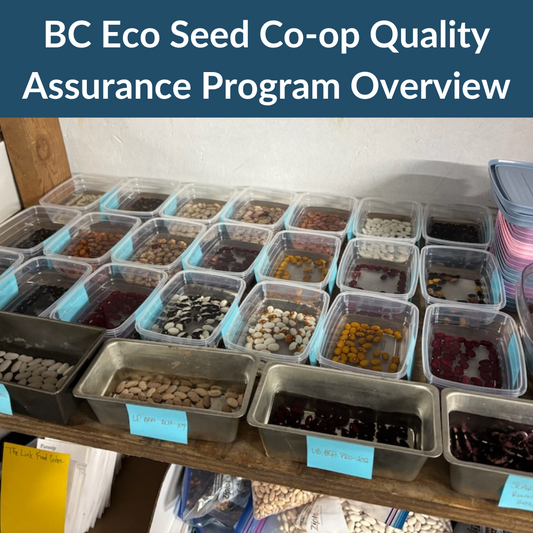 Quality Assurance Program Overview