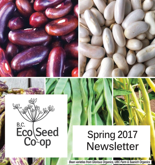 Spring newsletter now in your inbox
