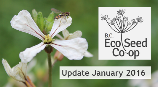 January newsletter now in your inbox