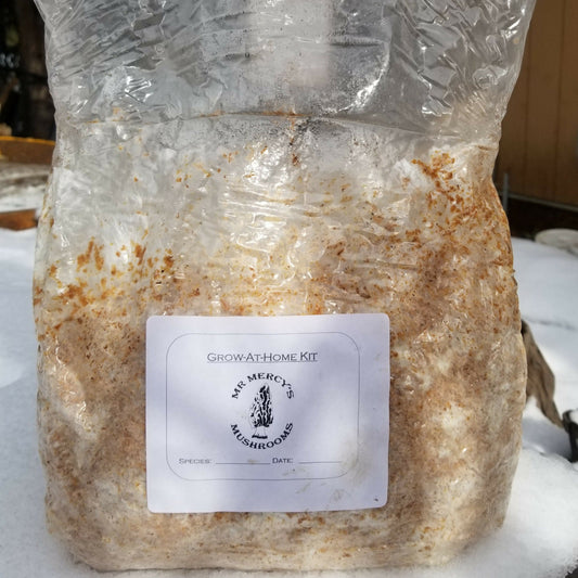 Growing Magnificent Mushrooms
