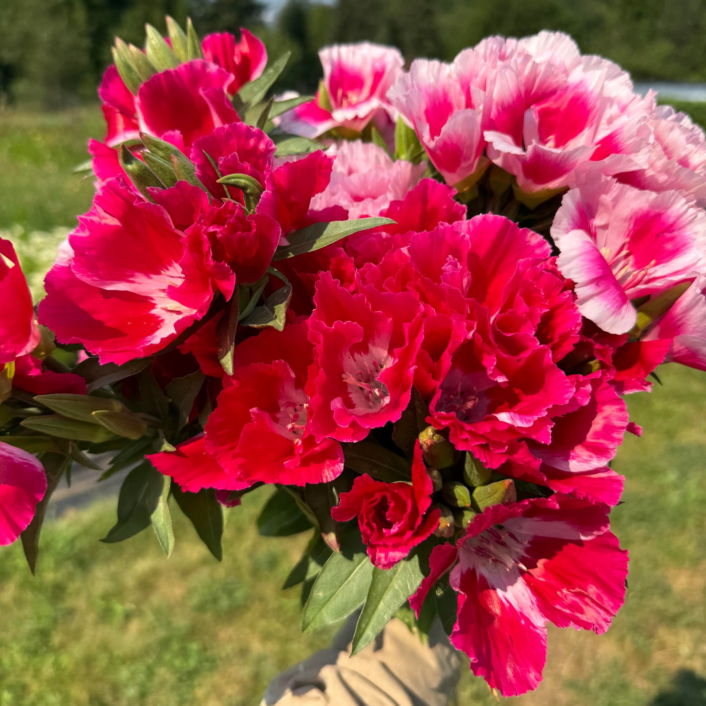 Grace Mix
