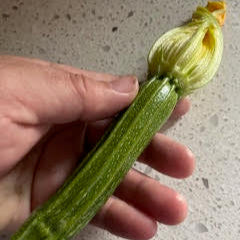 Costata Romanesco Zucchini