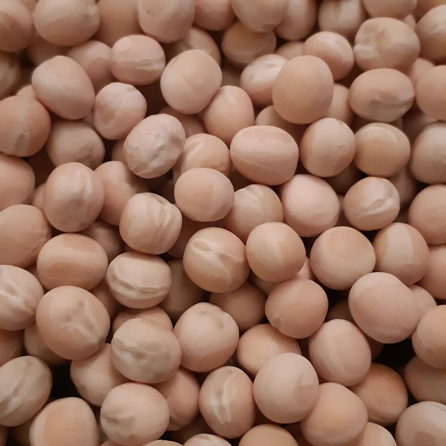 Amplissimo Viktoria Ukrainskaya Soup