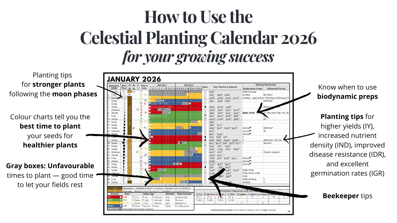 Celestial Planting Calendar 2026