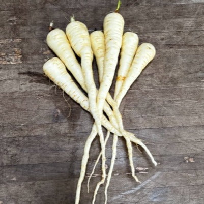 Harris Model Parsnip CO