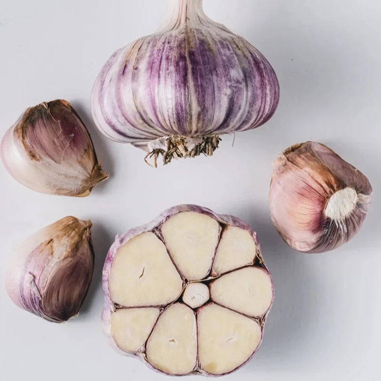 Purple Russian