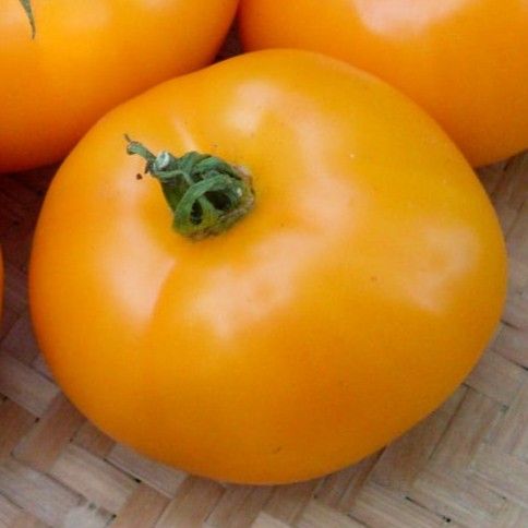 Orange You Glad