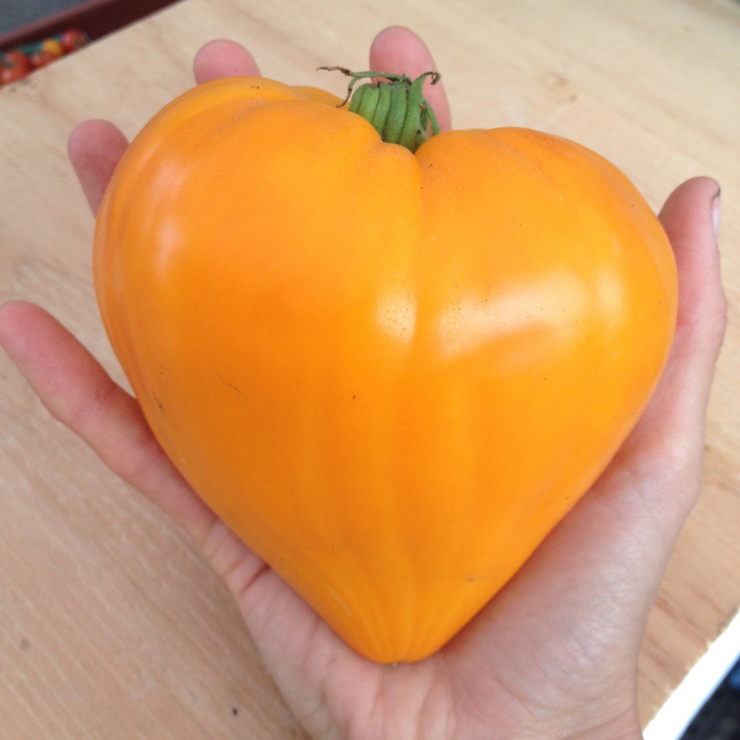 Orange Strawberry - Bright Farm