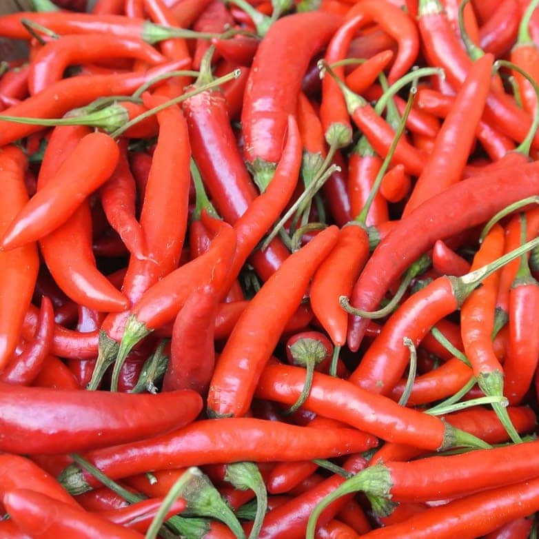 Early Thai Pepper CO