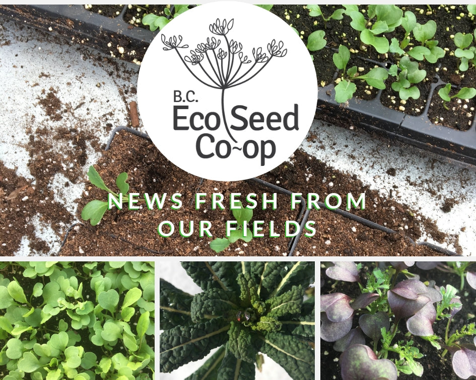 April newsletter now in your inbox
