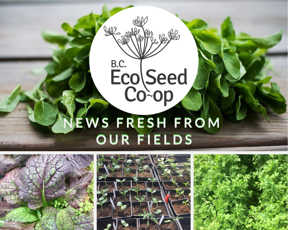 May newsletter now in your inbox