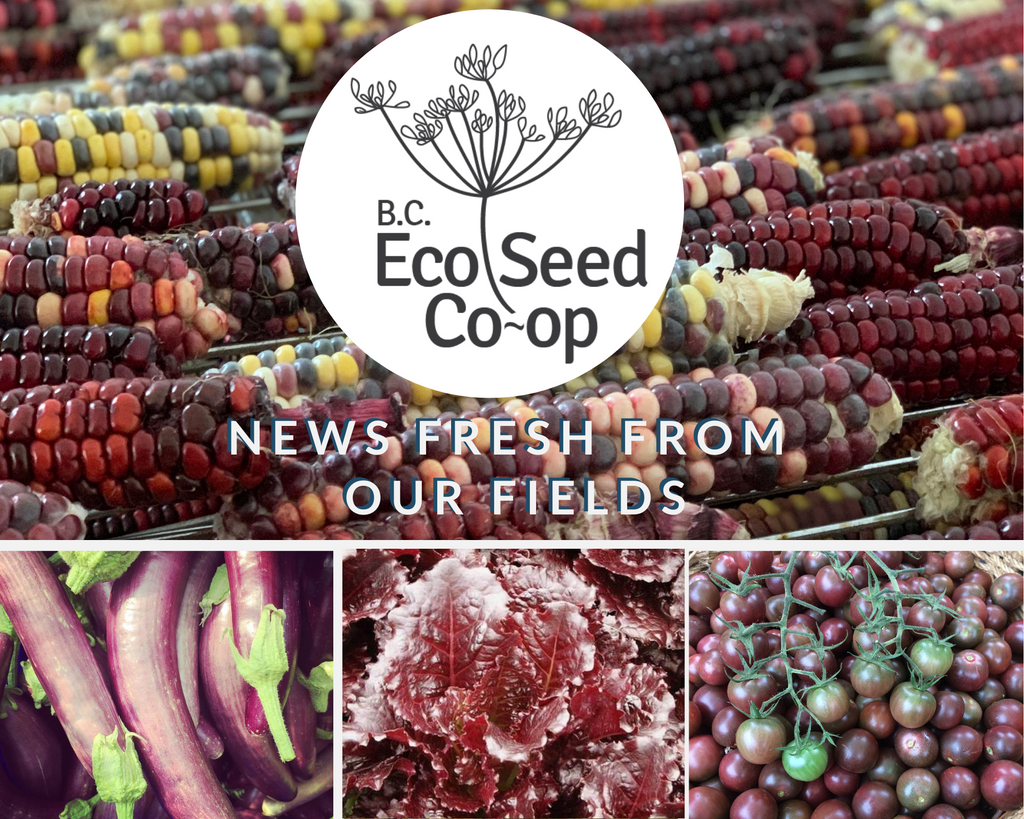 January newsletter now in your inbox