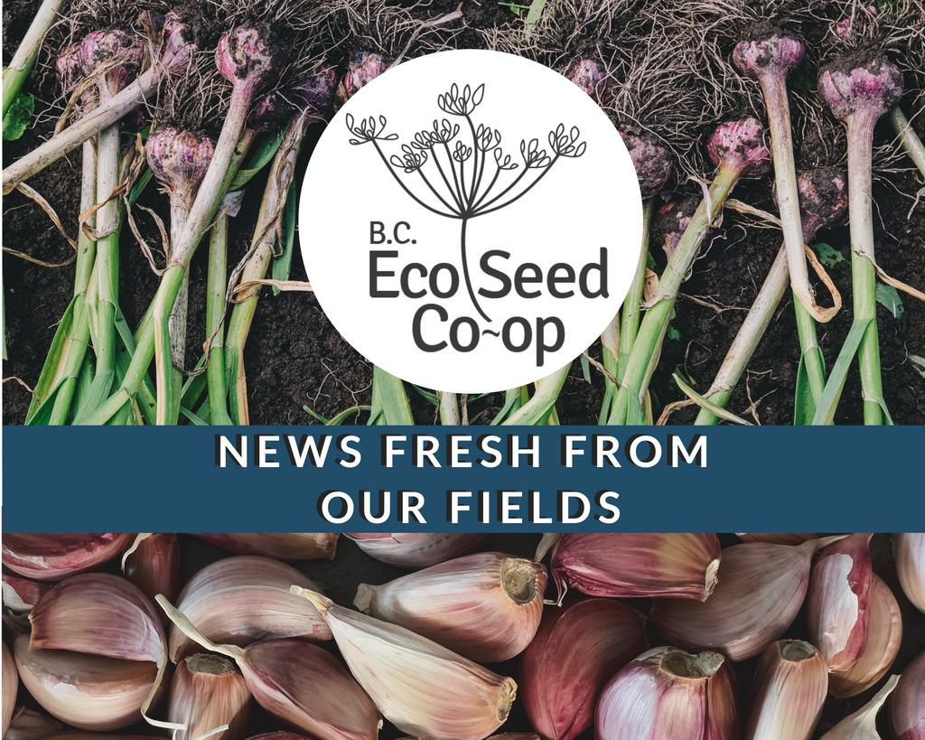 October newsletter now in your inbox