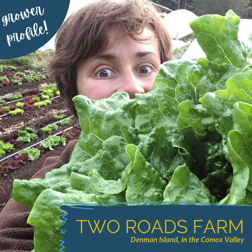 Grower Profile: Two Roads Farm