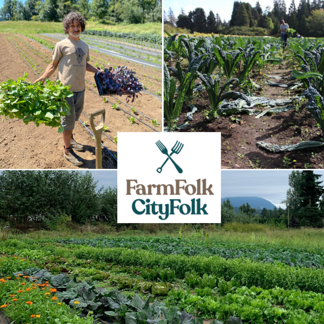 David in the field (top, left), kale growing (top, right), FarmFolk CityFolk logo (center), Research and Education Seed Farm (bottom)