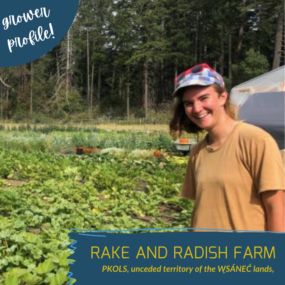 Seed Rake Ranch Grower Profile: Rake and Radish Farm – BC Eco Seed Co-op