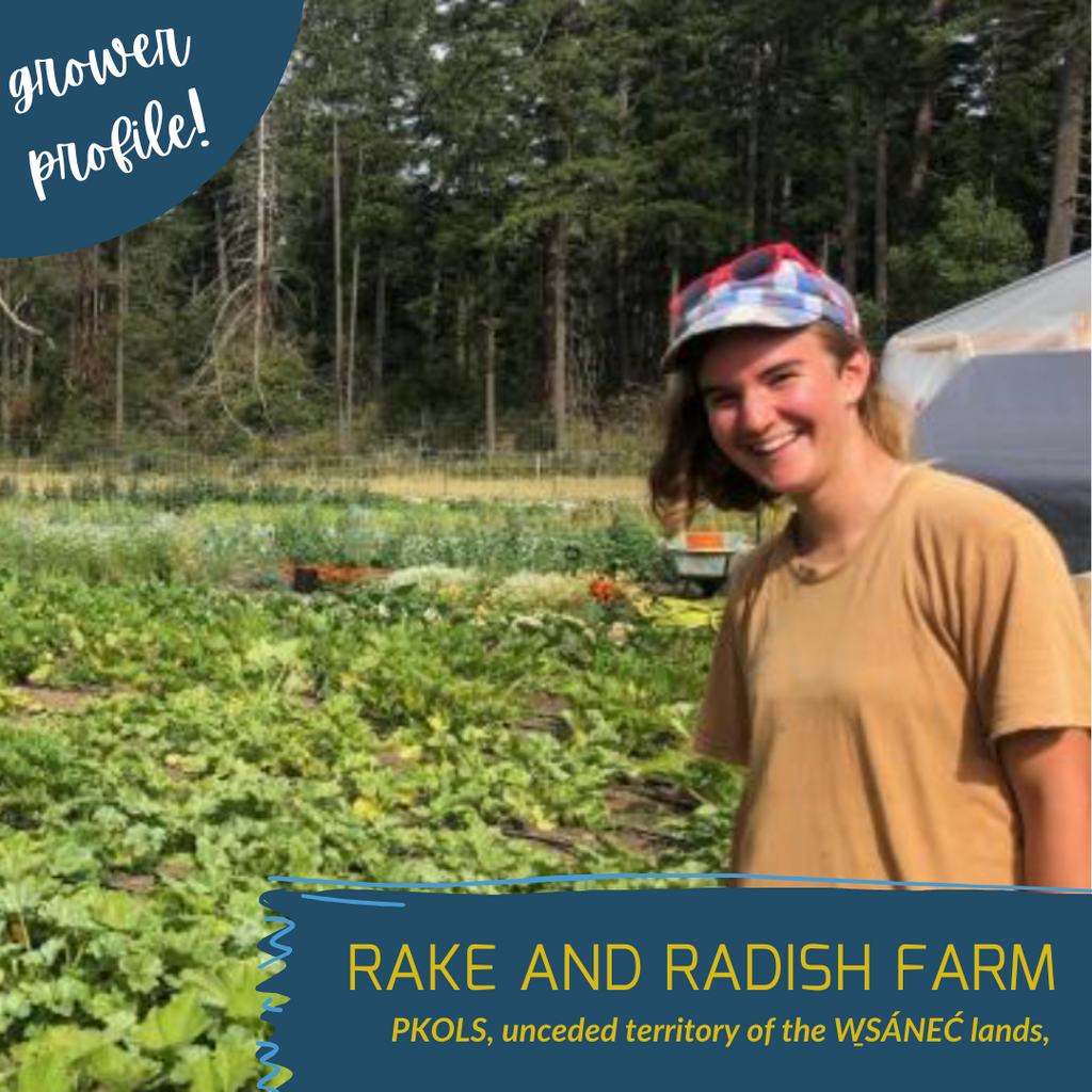 Grower Profile: Rake and Radish Farm