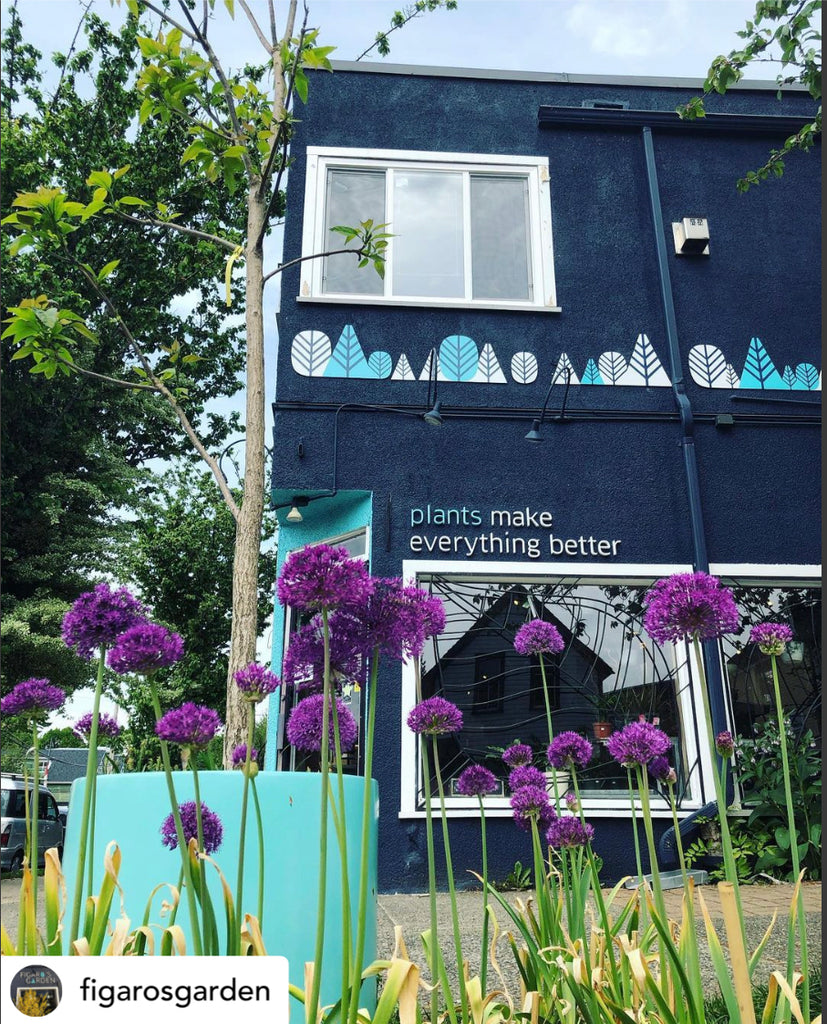 Stockist Profile: Figaro’s Garden