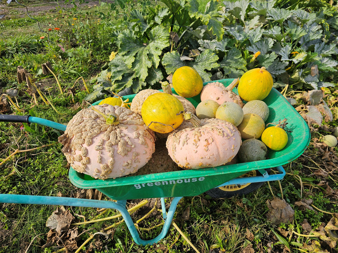 September 2025 Newsletter