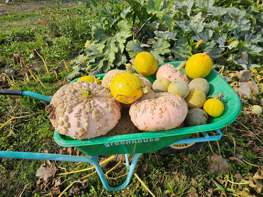 September 2025 Newsletter