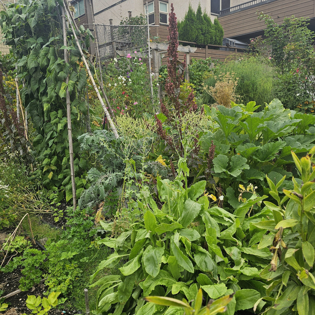 August 2025 Newsletter