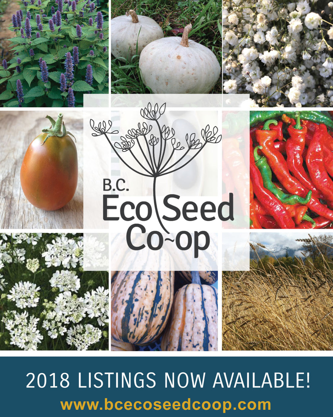 2018 Seed Listings are Now Online!