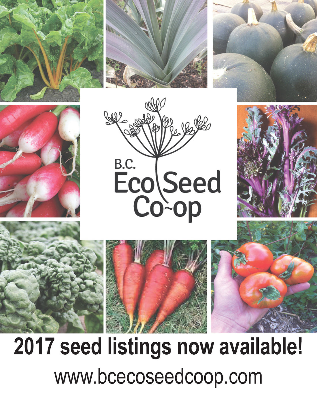Our 2017 Seed Listings Are Online!