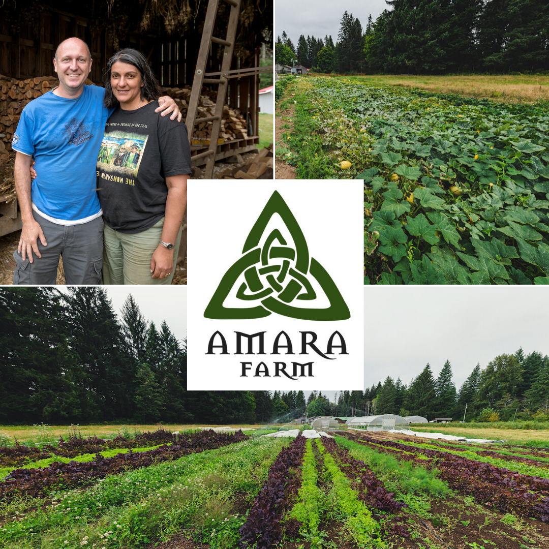 Top left: Veggies growing, right: Neil and Arzeena smiling, bottom: the farm in summer glory. Amara Farm Llgo featured in centre.