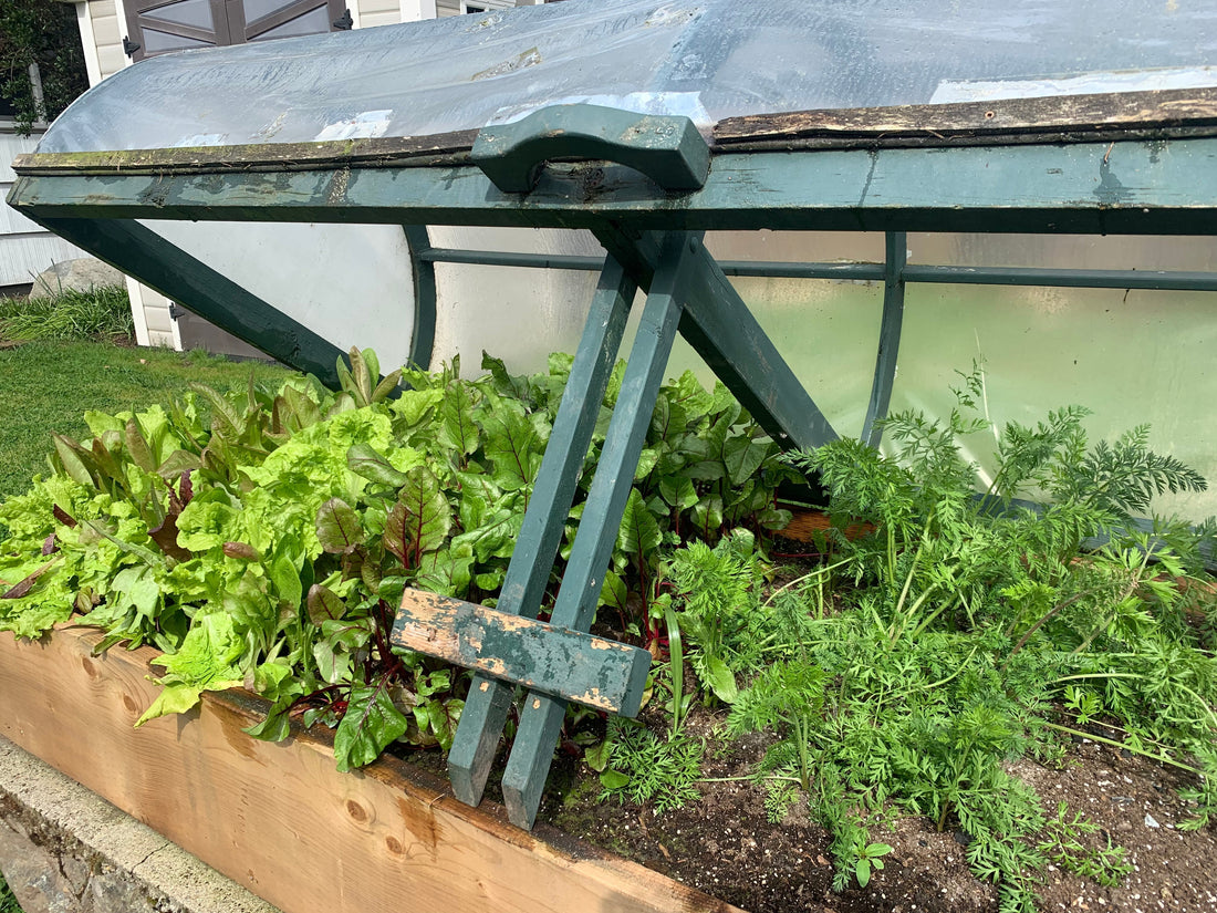 April 2026 newsletter