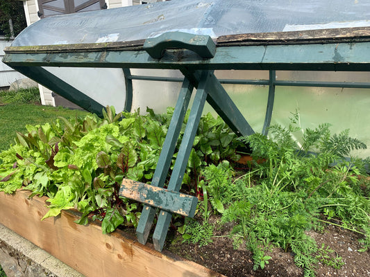 April 2026 newsletter
