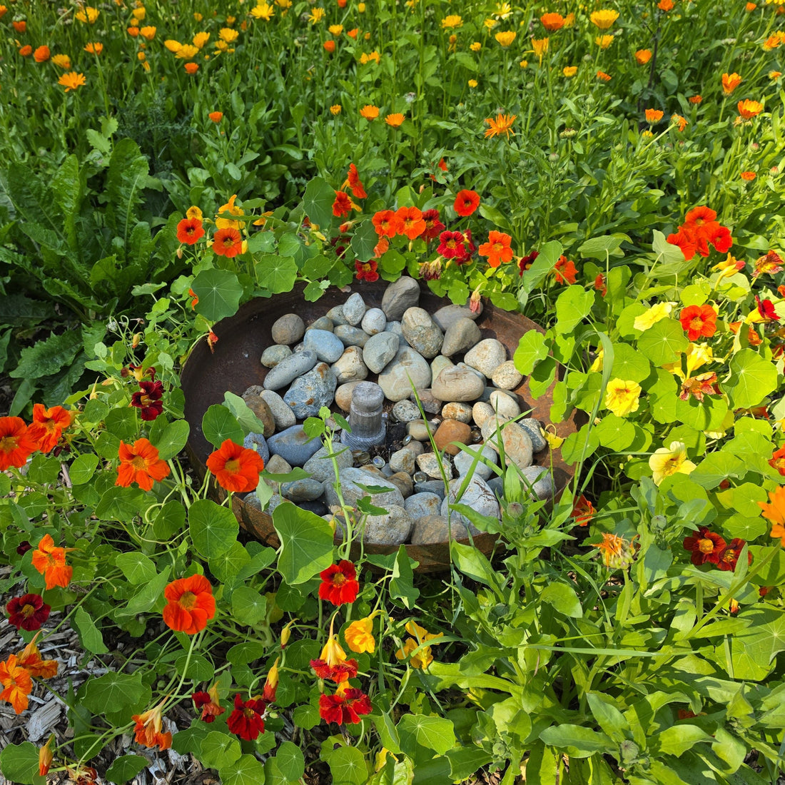 July 2026 newsletter