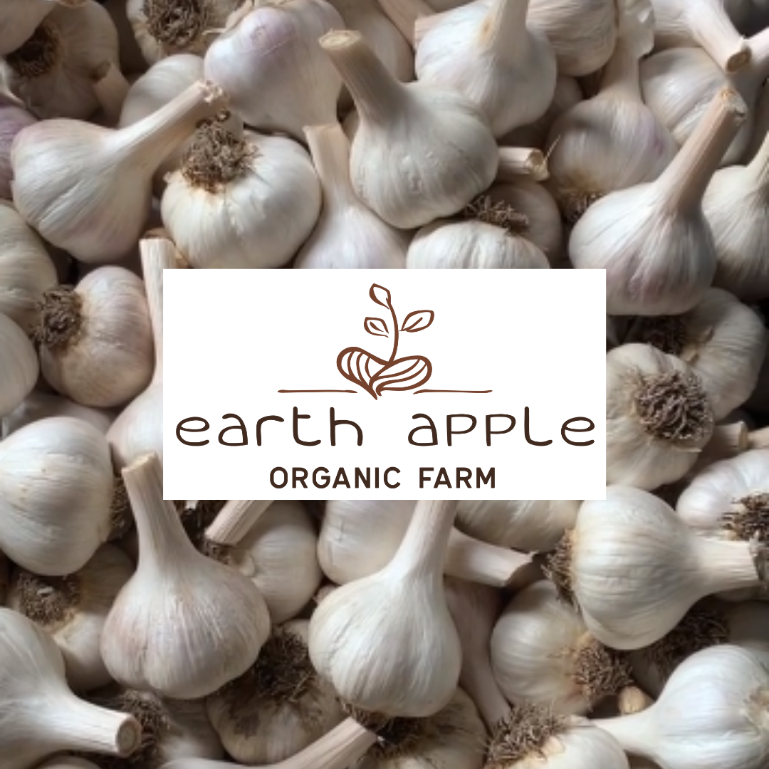Quality Assurance Statement on Seed Garlic