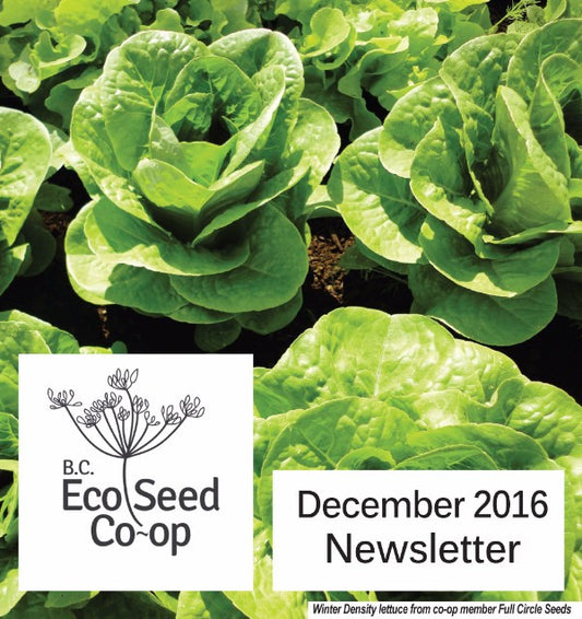December newsletter now in your inbox