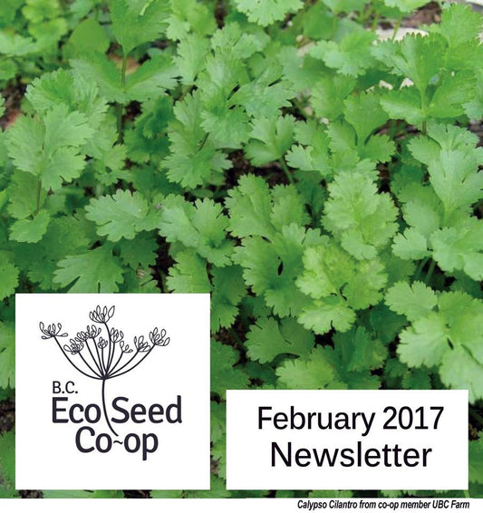 February newsletter now in your inbox