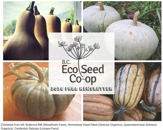Fall newsletter now in your inbox