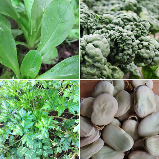 Early Spring Seedings