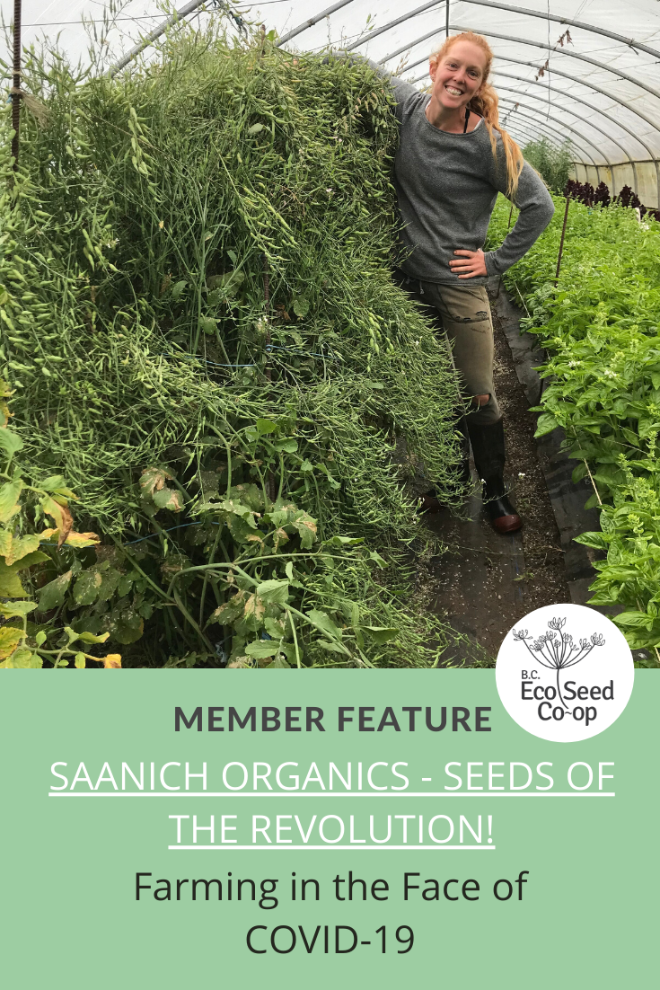 Farming in the Face of COVID-19: An Interview with Saanich Organics - Seeds of The Revolution! (BCESC Member Since 2017)