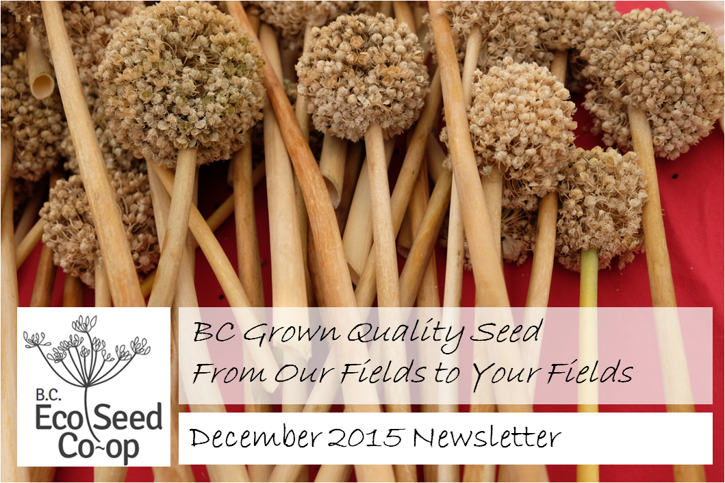 December newsletter now in your inbox