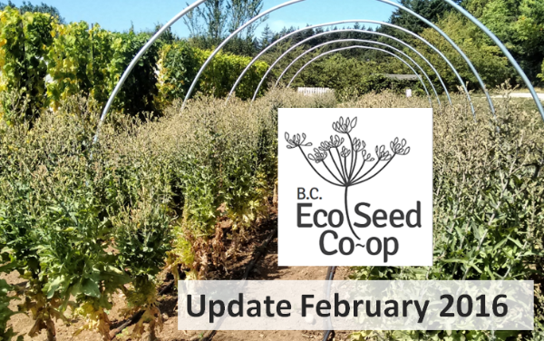 February newsletter now in your inbox