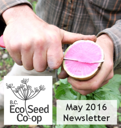May newsletter now in your inbox