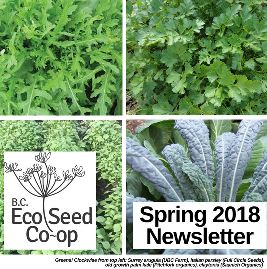 Spring newsletter now in your inbox