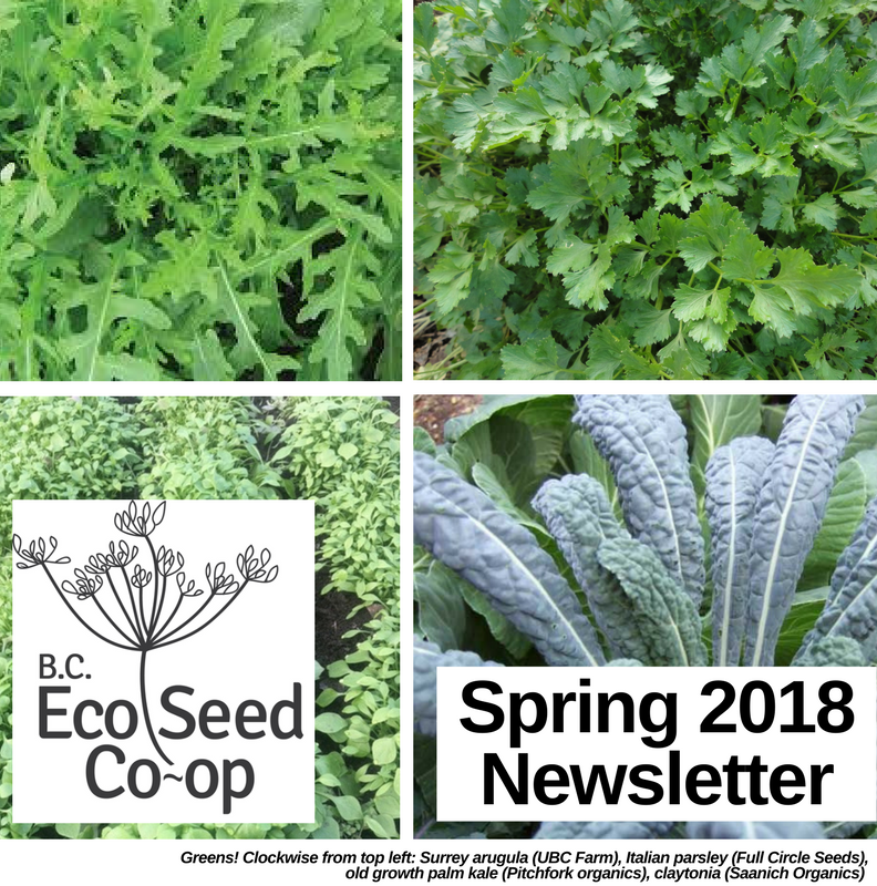 Spring newsletter now in your inbox
