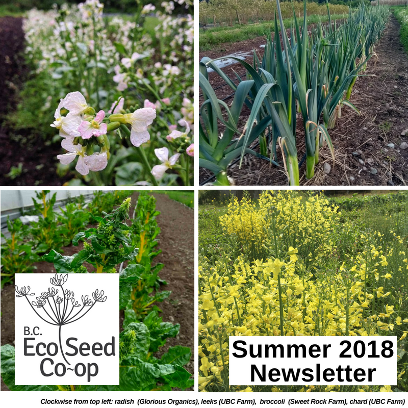 Summer newsletter now in your inbox