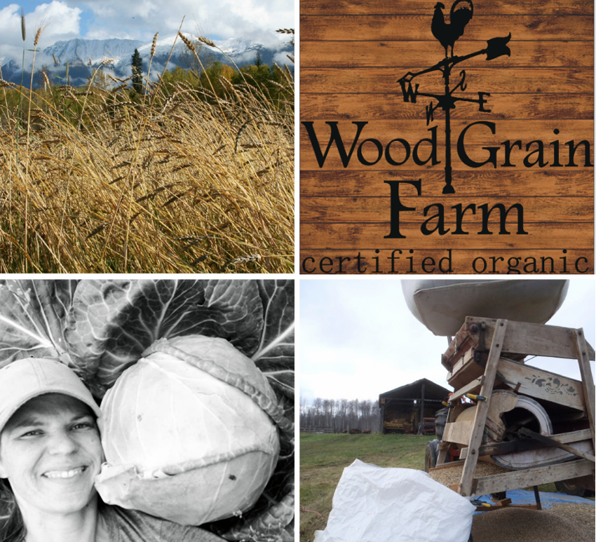 Meet BC Eco Seed Co-op Member Jolene Swain of WoodGrain Farm