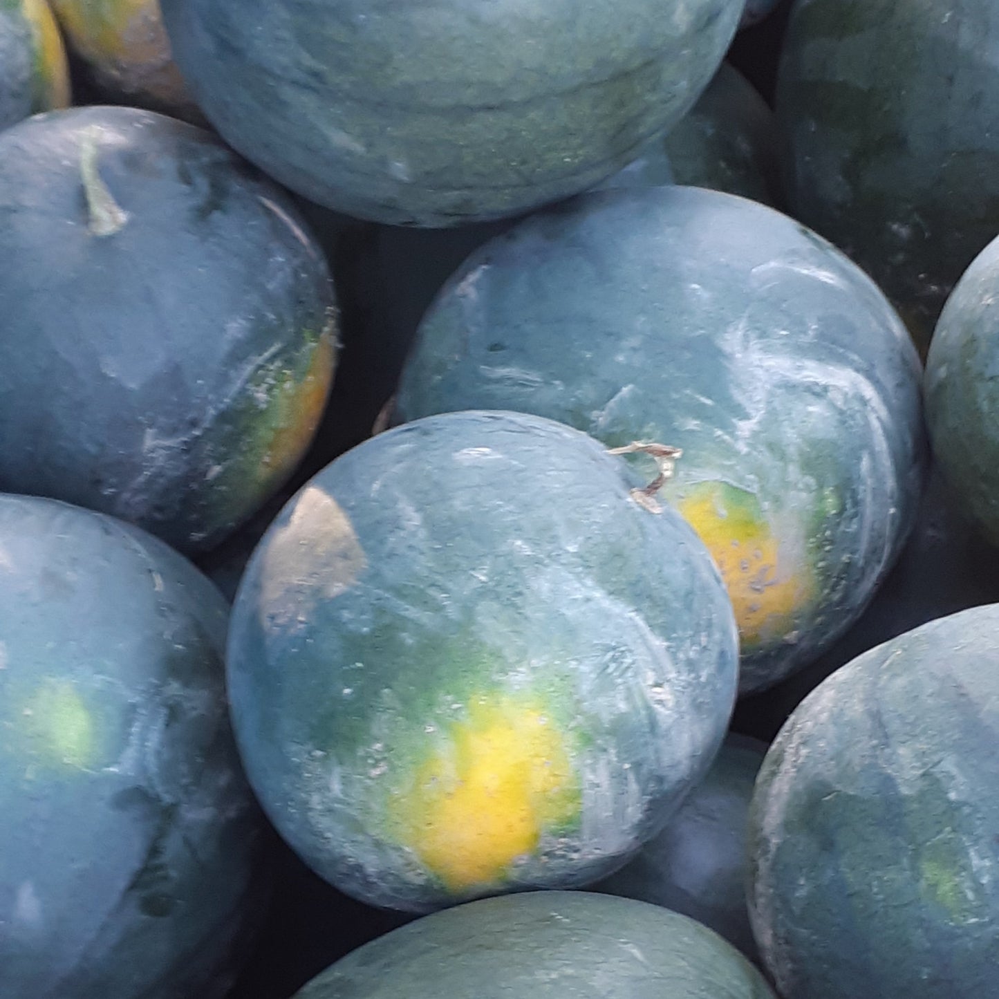 Sugar Baby Watermelon