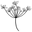 BC Eco Seed Co-op logo
