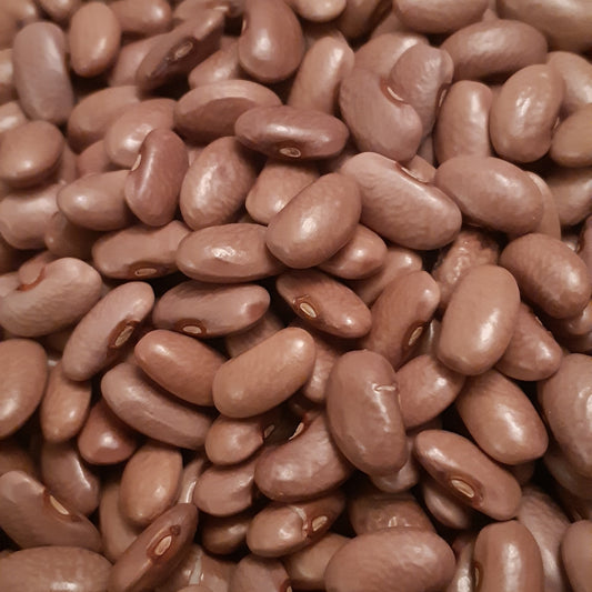 Old Homestead Pole (Kentucky Wonder)